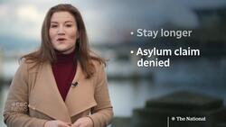 What life is like for undocumented workers in Canada News Clip