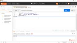 API Testing with Postman - Find the 500 Solution Instructional Video