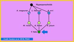 Biodiversity and Extinction Vulnerability - De-Natured Instructional Video