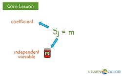 Understanding the Relationship Between Independent and Dependent Variables Instructional Video
