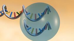 Explainer: What is Remdesivir and how does it treat COVID-19 Instructional Video