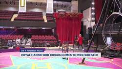 Royal Hanneford Circus back in White Plains for first time since COVID pandemic News Clip