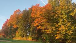 Graphing Daylight Instructional Video