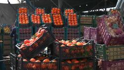 VOICED : Hay riesgo de "penuria alimentaria" por el coronavirus, advierten ONU y OMC News Clip