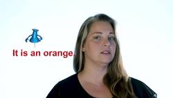 Using articles Instructional Video