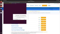 Fundamentals of Secure Software - OWASP ZAP (Zed Attack Proxy) Instructional Video