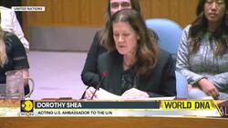 Gaza war: US blocks Gaza truce resolution; 14 security council members voted in favour News Clip