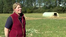 ‘Really dark day’ for pig farmers faced with gas shortages News Clip