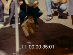 Family Plane Stock Footage