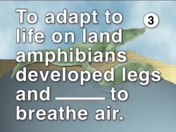 Amazing Amphibians and Reptiles Assessment Instructional Video