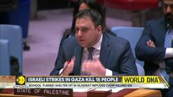 Israel-Hamas War: US Vetoes UNSC Resolution On Gaza Ceasefire News Clip