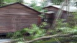 CLEAN : Nicaragua battered by Hurricane Eta News Clip