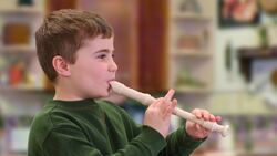 Exploring Characteristics of Sound Waves Instructional Video