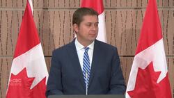 Scheer softens his call for MPs' return to the House of Commons News Clip