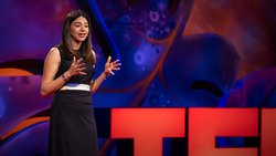 Inside India's astonishing solar revolution | Kanika Chawla Instructional Video