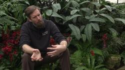 Rare and beautiful orchids on show News Clip