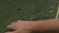 Science Behind The News: Allergies Instructional Video