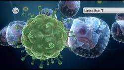 VIH/sida: el evasor del sistema inmunitario Instructional Video