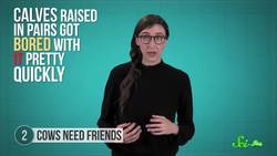 6 Animals with Oddly Human Behavior Instructional Video