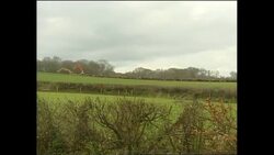 Dead animals on a farm News Clip