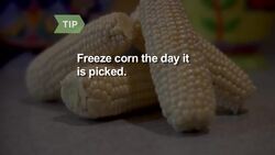 How to Freeze Corn Instructional Video