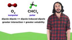 Temperature and Gas Solubility Instructional Video