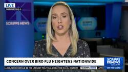 Doctors worldwide closely monitoring potential changes in bird flu virus. News Clip