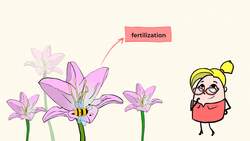 Exploring the Dependence of Plants on Pollinators and Seed Dispersal Instructional Video