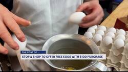 The Cost Of: Grocery chain to offer free eggs with $100 purchase News Clip