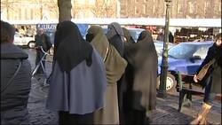 Dutch Senate approves partial ban of face veils News Clip