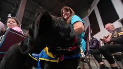32 puppies complete first half of training to become service dogs News Clip