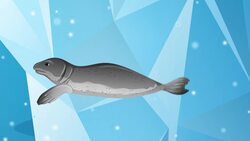 High Five Facts - Polar Ice Caps Instructional Video