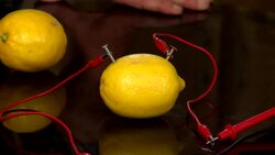 DIY Sci: Lemonsss Instructional Video