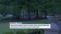 Peapack-Gladstone taking new steps to control geese problem News Clip