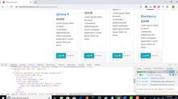 Selenium Python Automation Testing from Scratch and Frameworks - Complete Checkout Logic with Product Selection Example Instructional Video