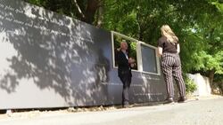 CLEAN : "Roots", Van Gogh's ultimate painting, reveals final secrets News Clip