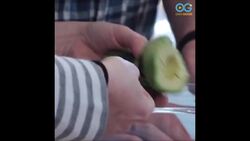 How About Cooking Up Your Daily Diversion - Try These Amazing Unwritten Recipes! Instructional Video