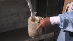 CLEAN : One of South America's largest cemeteries fumigated for dengue fever News Clip