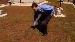Green Roofs - Science Nation Instructional Video