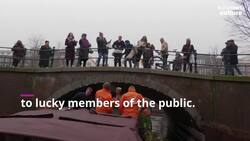 Tulip season begins in Amsterdam with bouquets thrown from canal boat News Clip