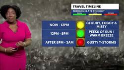 STORM WATCH: Damp, chilly conditions before thunderstorms hit Brooklyn News Clip