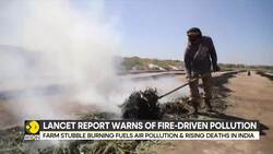 Air Pollution Deadly Toll Revealed: Over 2.5 Mn Deaths In India Linked To Landscape Fire Pollution News Clip