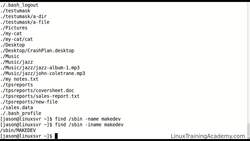 Linux Administration Bootcamp: Go from Beginner to Advanced - Finding Files and Directories Instructional Video