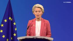 'Make Russia pay': EU moves ahead with confiscation of frozen assets, despite legal pitfalls News Clip