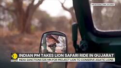 India sanctions $35 million for project lion to conserve Asiatic lions News Clip