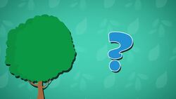 I WONDER - How Do Seeds Spread? Instructional Video