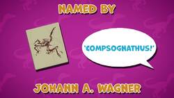 I WONDER - Where Was The Compsognathus Discovered? Instructional Video