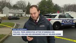 Police: 15-year-old arrested for stabbing mom, fatally stabbing grandmohter in Selden News Clip