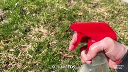 Ways to Use Borax, the Champ of All-Natural Budget Cleaning Instructional Video