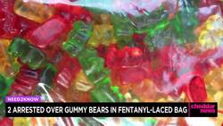 Two Arrested Over Gummy Bears in Fentanyl-Laced Bag News Clip